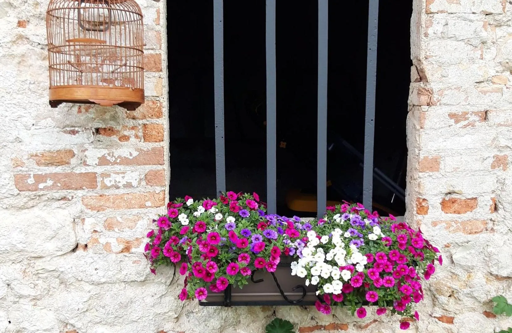 Casa Paola Apartment Borso del Grappa