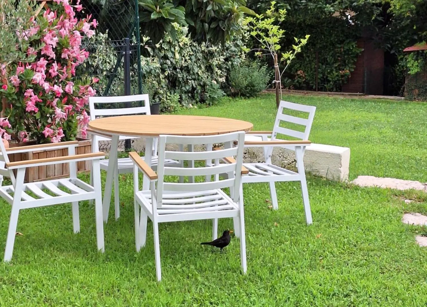 Casa Paola Apartment Borso del Grappa 0*,